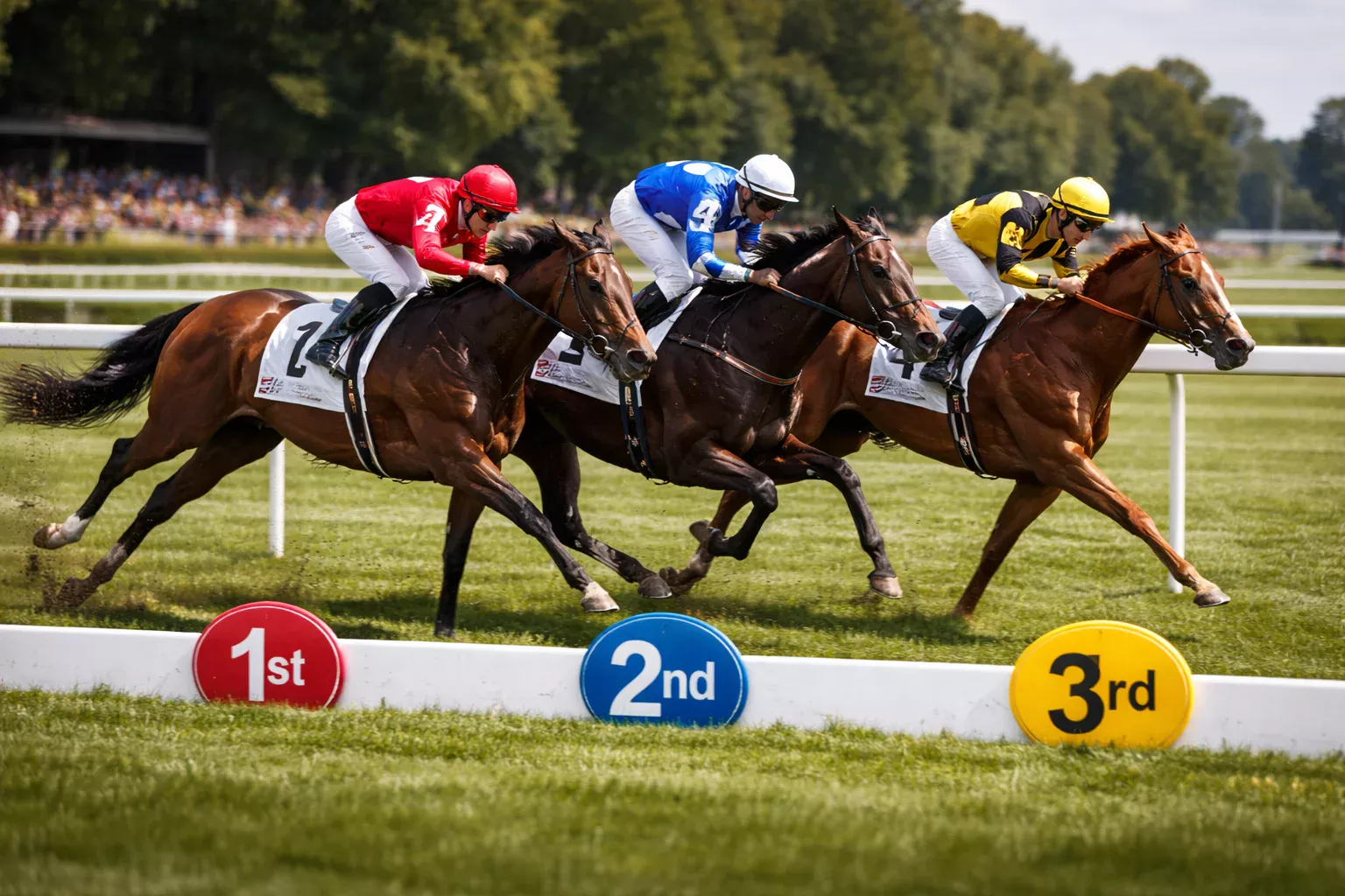 Pferde in Reihenfolge beim Zieleinlauf